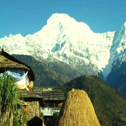 Ganesh Himal Base Camp